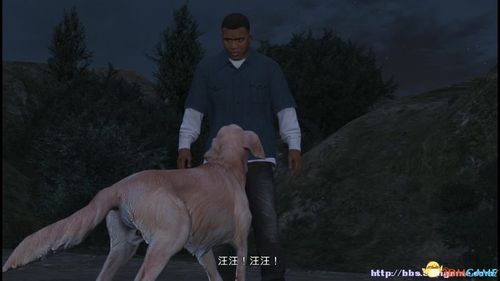 GTA3十周年纪念版盗版狗之死怎么过？手游gta5破解版