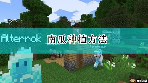 我的世界南瓜怎么种植才结瓜？我的世界南瓜在哪里