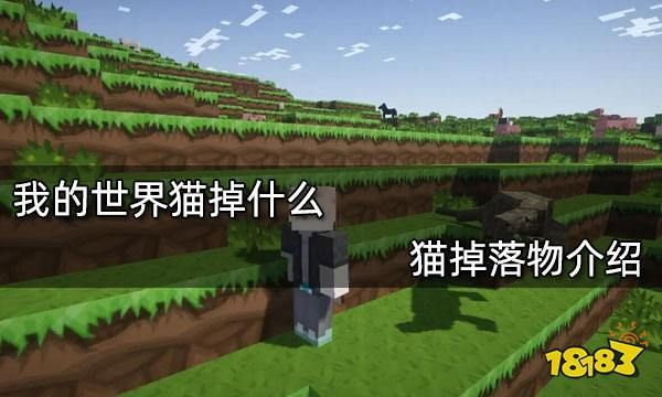 猫一般会跳楼吗？我的世界猫在哪里