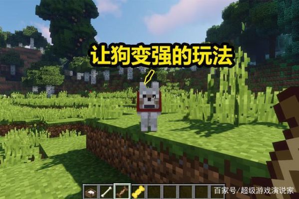 我的世界狗怎么弄？我的世界狗哪里多