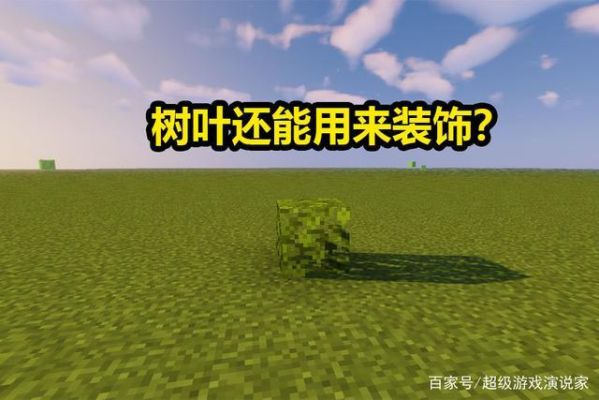 我的世界叶子去哪了？叶子的我的世界哪里下的