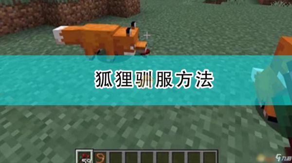 我的世界中狐狸吃什么？我的世界里狐狸出生哪里