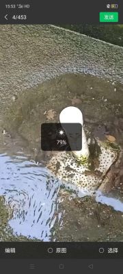 石蛙蝌蚪冬天也吃吗？我的世界蝌蚪在哪里生存
