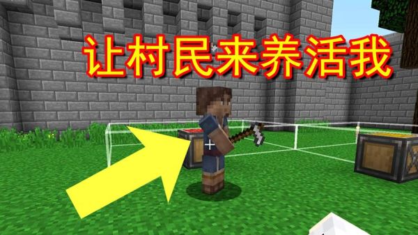 我的世界怎么引村民入住？我的世界哪里看村民好感