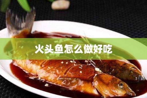 火头鱼怎么做好吃又简单？我的世界反火头在哪里