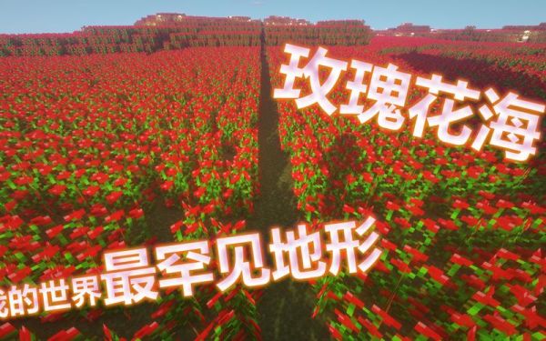 从我的世界走出歌名？我的世界音乐花海在哪里