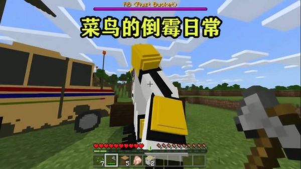 菜鸟的反义词？我的世界菜鸟高手在哪里