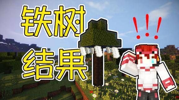 铁树是什么网络词？我的世界铁树在哪里买
