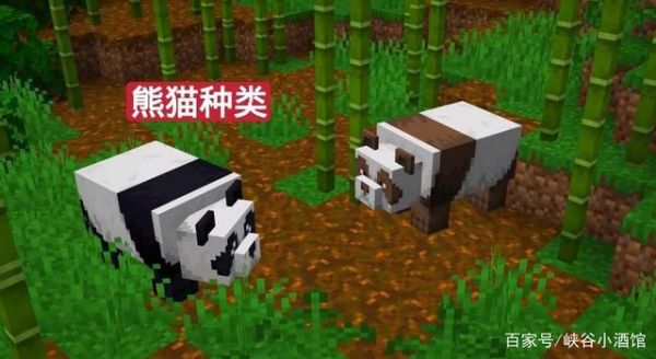 我的世界棕色熊猫指令？我的世界熊猫生成在哪里