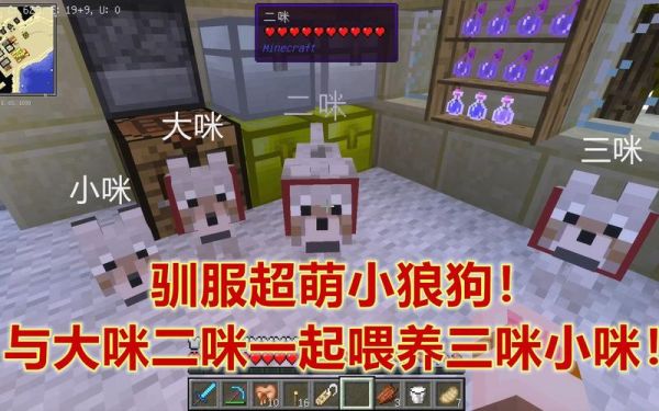 我的世界可以驯服的生物？我的世界狼狗在哪里刷