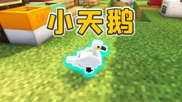 小天鹅是哪里的企业？我的世界小天鹅在哪里