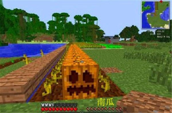 我的世界南瓜生长需要露天吗？我的世界里哪里有南瓜