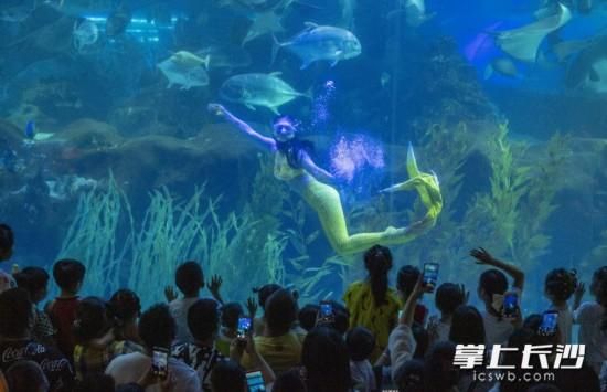 长沙海底世界下雨能看表演吗？我的世界长沙在哪里下雨