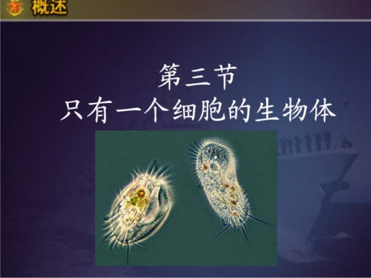 世界上最原始是单细胞生物，那单细胞生物是哪里来的？我的世界生物从哪里来