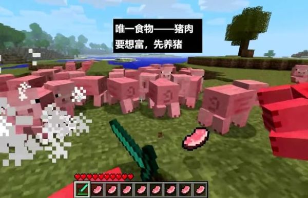 口袋妖怪中所有的地面系精灵有哪些？我的世界独角猪在哪里
