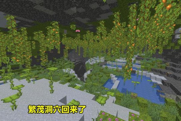怎么判断天山翠玉是不是真的？我的世界仿冒洞穴在哪里