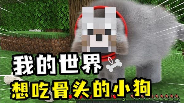 怎样除去沙发上的狗毛？我的世界哪里生成狗毛