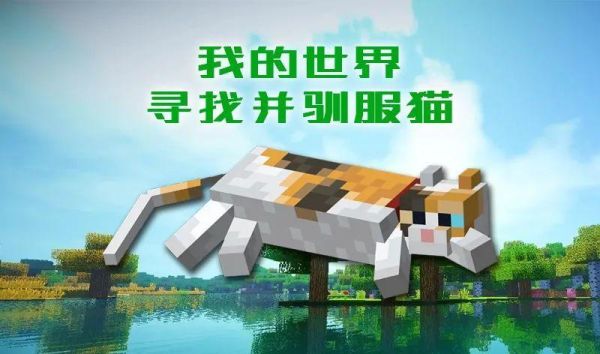七猫小说新人训练营怎么报名？我的世界猫在哪里训练