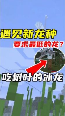 我的世界龙先知的故事？我的世界先知在哪里打
