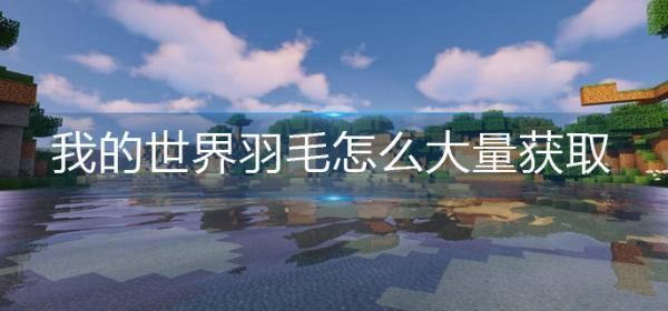 我的世界羽毛怎么大量获取？我的世界羽毛在哪里看