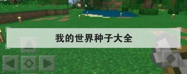 我的世界最厉害的种子？我的世界哪里能有钻石种子