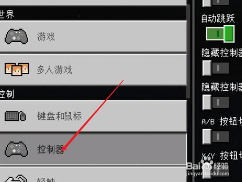 和平精英视角总是往天上指怎么回事？我的世界从哪里调视野