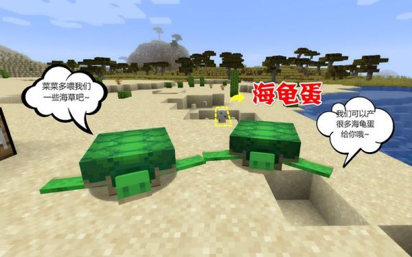 乌龟壳上一块一块的叫什么？我的世界哪里找乌龟方块