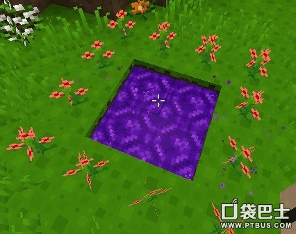 花疗环环进化条件？我的世界花疗环环哪里抓