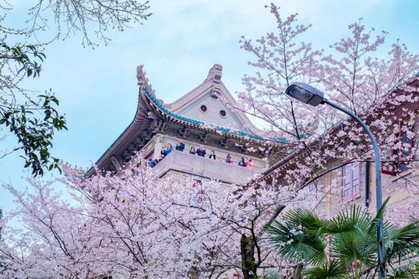 武大哪里可以参观？我的世界樱花城堡在哪里