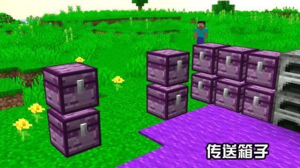 我的世界紫颂果有什么用？我的世界紫色花朵在哪里