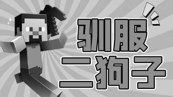 我的世界二狗子和小黑中的二狗子的皮肤叫什么？我的世界在哪里买狗子皮肤
