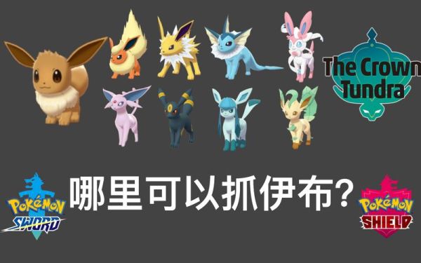 剑盾伊布哪里抓？伊布在哪里捕捉我的世界