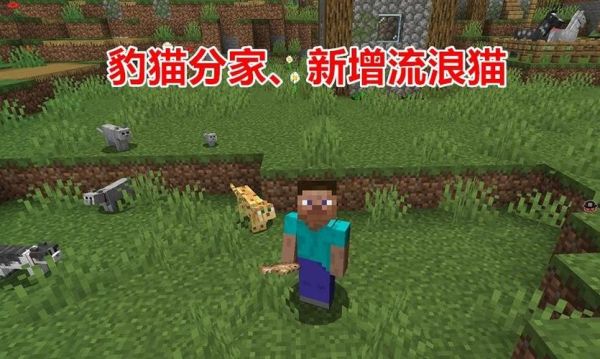 2个月大的流浪猫会独自跑到哪里生存？我的世界豹猫会在哪里生存