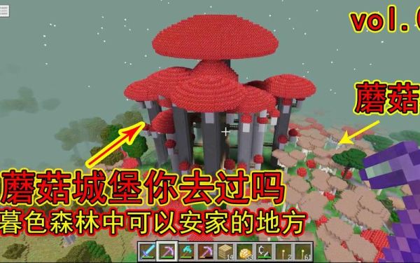 我的世界暮色森林全是蘑菇的是什么地方？我的世界小蘑菇在哪里生长