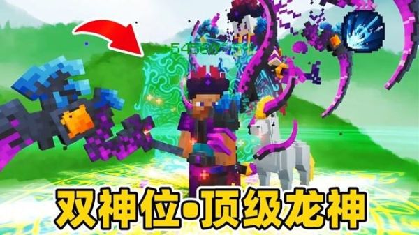 魂师生存怎样用指令获得龙神神位？我的世界神位在哪里获得