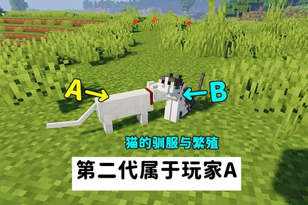 我的世界1.11.2生存怎么骑马？我的世界豹猫和狼在哪里