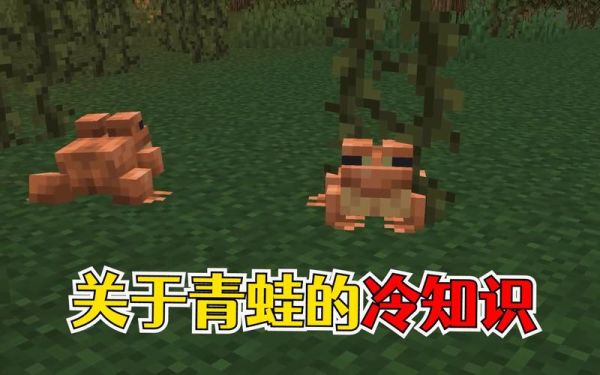 蛙漫怎么下载？我的世界青蛙去哪里了下载