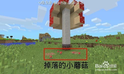怎么在家种蘑菇种子？我的世界哪里能种蘑菇种子
