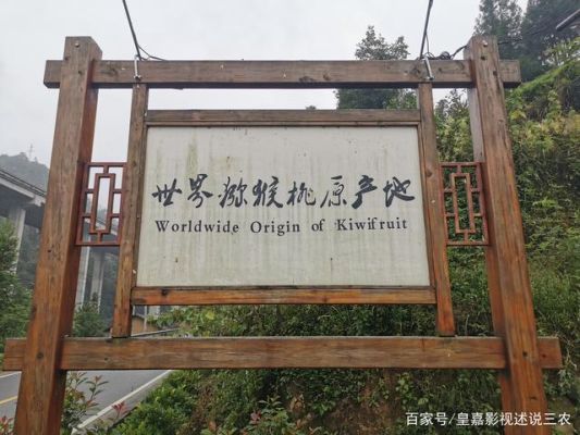 猕猴桃原产地是哪个镇？我的世界猕猴桃在哪里