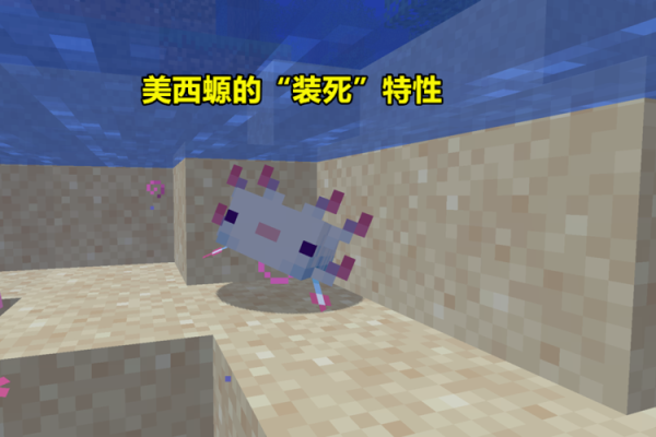 美蜥螈吃什么？网易我的世界美西螈在哪里