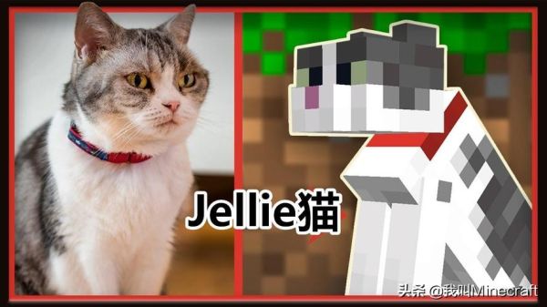 最早的猫来自哪里？我的世界里猫在哪里生存