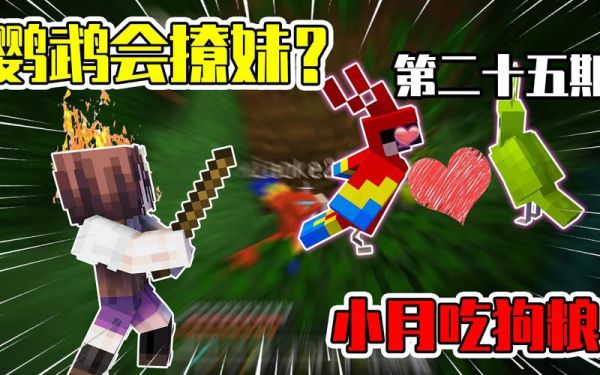 我是做搞笑视频的怎么介绍自己？我的世界小月在哪里拍视频