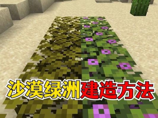 绿洲世界华科大圆圈任务怎么完成？我的世界小圆圈在哪里
