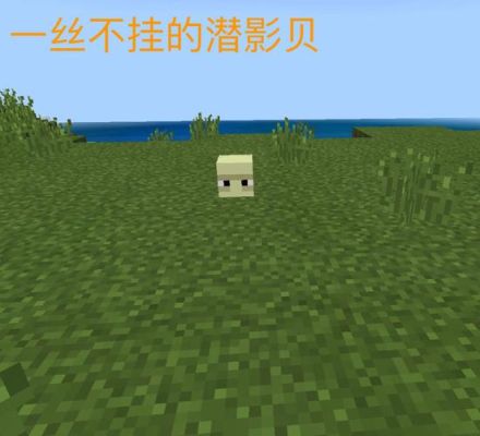 我的世界如何防止潜影贝漂浮？我的世界潜影贝在哪里