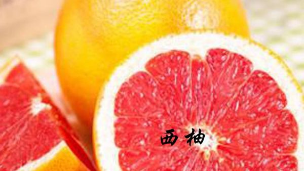 西柚的意思和含义？我的世界柚子来自哪里英语