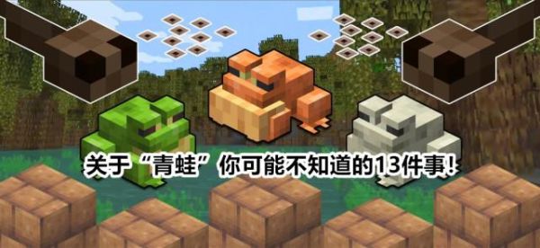 青蛙的家是哪里？我的世界青蛙在哪里找家