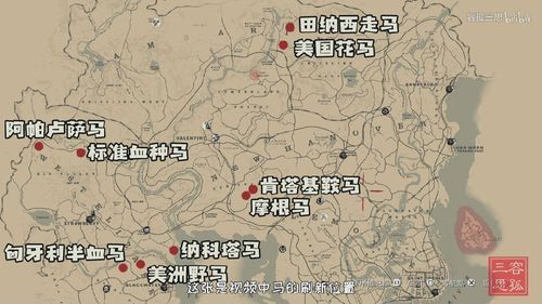 荒野大镖客2最无敌的位置？我的世界的无敌之处在哪里