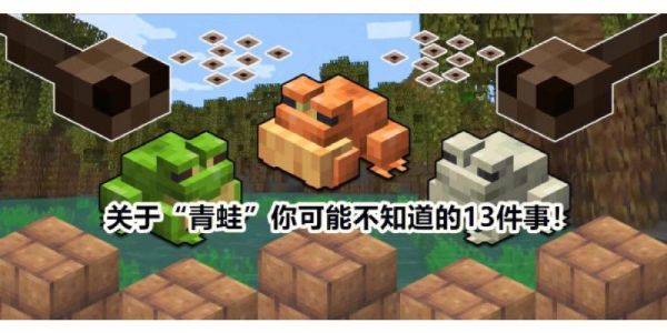 青蛙吆喝买一种文具写话怎么写？我的世界文具盒在哪里做