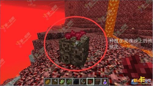 我的世界地狱疣怎么收获？我的世界疣在哪里