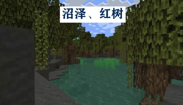 我的世界红树林特性？我的世界湿地在哪里